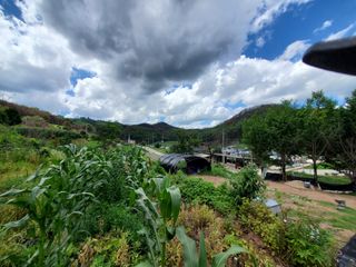 정연섭님의 기타작물 · 영농일지 작성글 사진