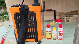 김흥환 님의 참깨 · 영농일지 작성글 사진