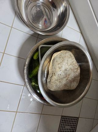 김윤회님의 오이 · 영농일지 작성글 사진