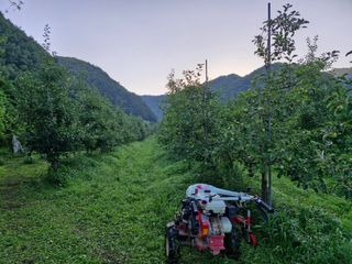 전락구님의 기타작물 · 영농일지 작성글 사진