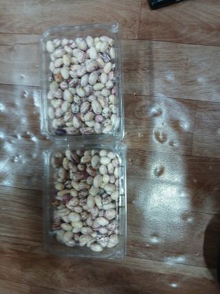 오름머리님의 기타작물 · 영농일지 작성글 사진