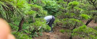 상추22033님의 기타작물 · 영농일지 작성글 사진