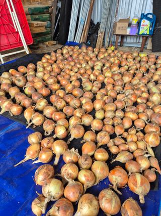 전홍열님의 기타작물 · 영농일지 작성글 사진