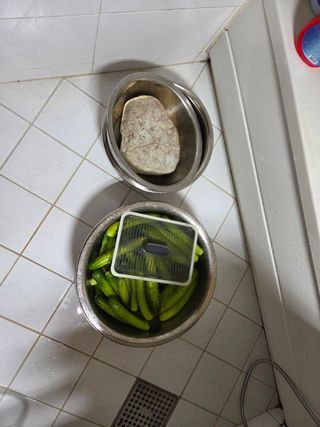 김윤회님의 오이 · 영농일지 작성글 사진