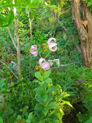 이범로님의 기타작물 · 영농일지 작성글 사진