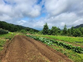 어명순님의 파 · 영농일지 작성글 사진