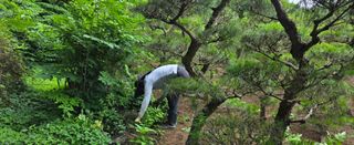 상추22033님의 기타작물 · 영농일지 작성글 사진