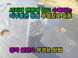 팜모닝 기타작물·영농일지 게시글 이미지