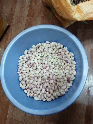 오름머리님의 기타작물 · 영농일지 작성글 사진