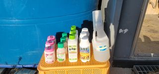 피디에프 님의 사과 · 영농일지 작성글 사진