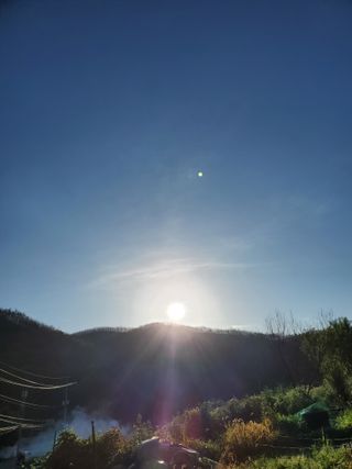 정연섭님의 기타작물 · 영농일지 작성글 사진