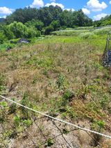 팜모닝 기타작물·영농일지 게시글 이미지