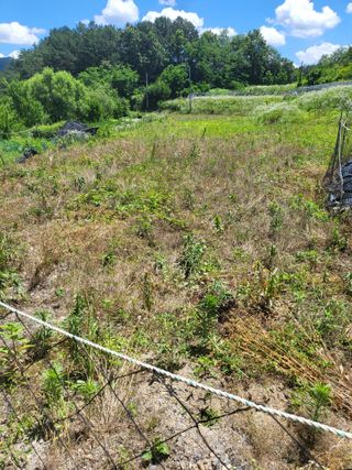 사과18677님의 기타작물 · 영농일지 작성글 사진