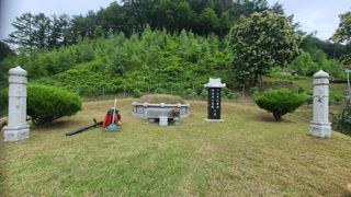 고춘석(고랑과이랑)님의 기타작물 · 영농일지 작성글 사진