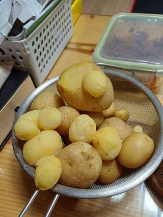 감7195님의 감자 · 영농일지 작성글 사진