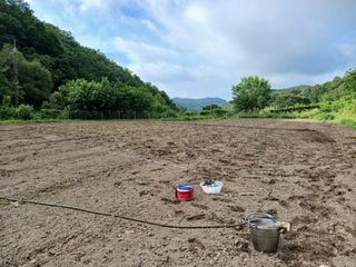 법당골길 우대영님의 기타작물 · 영농일지 작성글 사진