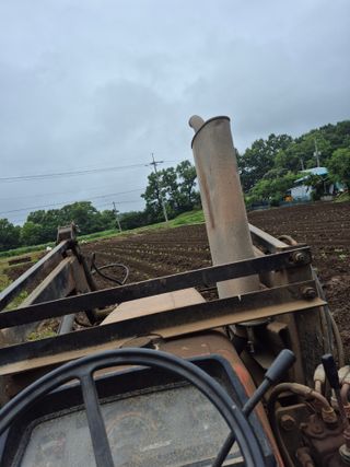 이정민님의 들깨 · 영농일지 작성글 사진