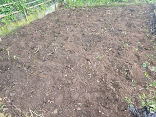 한상훈님의 감자 · 영농일지 작성글 사진