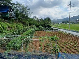 인산님의 기타작물 · 영농일지 작성글 사진