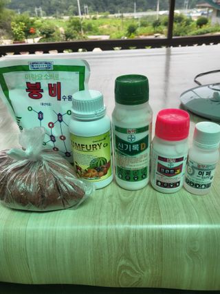 이상욱님의 고추 · 영농일지 작성글 사진