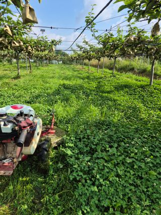 신인농원님의 기타작물 · 영농일지 작성글 사진