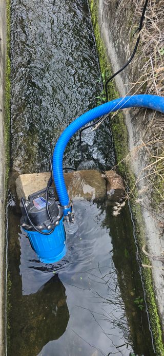 돌복숭아님의 기타작물 · 영농일지 작성글 사진