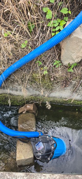 돌복숭아님의 기타작물 · 영농일지 작성글 사진