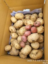 팜모닝 기타작물·영농일지 게시글 이미지