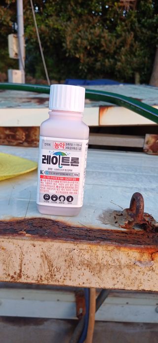 보물섬남자님의 귤 · 영농일지 작성글 사진