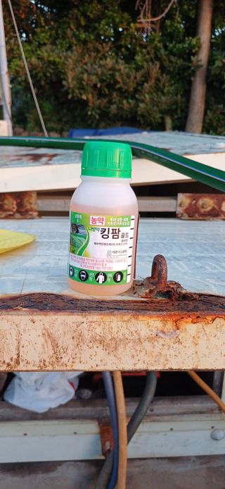 보물섬남자님의 귤 · 영농일지 작성글 사진