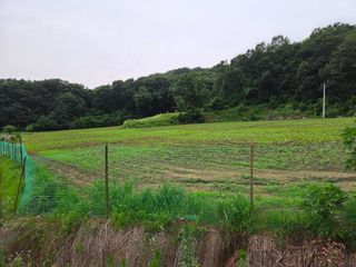 윤석은님의 콩 · 영농일지 작성글 사진