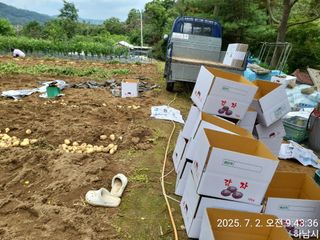 고골농장님의 기타작물 · 영농일지 작성글 사진