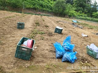 고골농장님의 기타작물 · 영농일지 작성글 사진