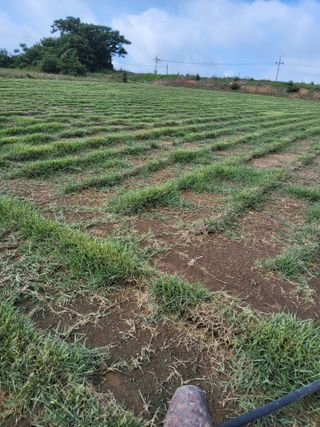 최유순님의 기타작물 · 영농일지 작성글 사진