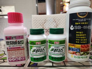 키다리님의 작성글 사진