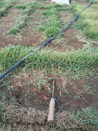 최유순님의 기타작물 · 영농일지 작성글 사진