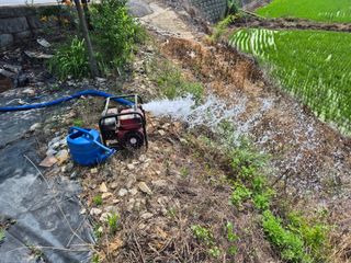 조위래님의 벼 · 영농일지 작성글 사진