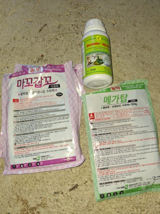 서태수님의 포도 · 영농일지 작성글 사진