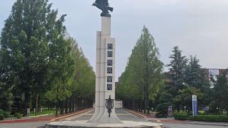 임일재님의 매실 · 영농일지 작성글 사진