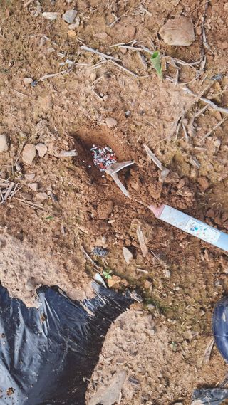 이인성님의 기타작물 · 영농일지 작성글 사진