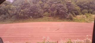 박사원농장님의 기타작물 · 영농일지 작성글 사진