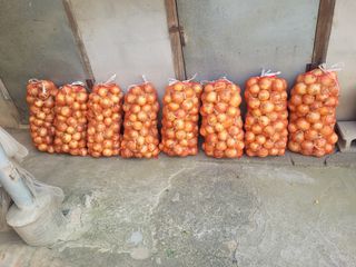 김춘성님의 기타작물 · 영농일지 작성글 사진