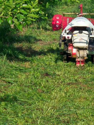 강기명님의 기타작물 · 영농일지 작성글 사진