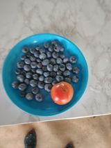 팜모닝 기타작물·영농일지 게시글 이미지