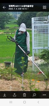 팜모닝 기타작물·영농일지 게시글 이미지