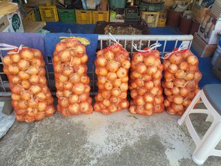 김춘성님의 기타작물 · 영농일지 작성글 사진