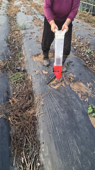 이천순님의 기타작물 · 영농일지 작성글 사진