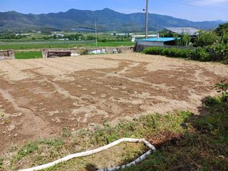 12345우각장당리님의 들깨 · 영농일지 작성글 사진