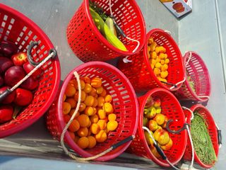 복숭아20126님의 기타작물 · 영농일지 작성글 사진