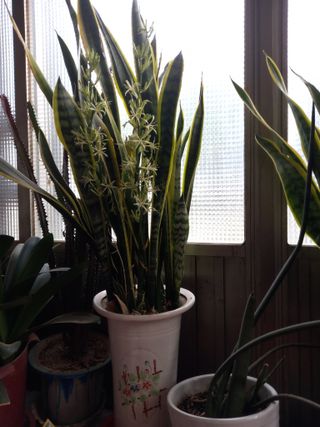 배추19087님의 기타작물 · 영농일지 작성글 사진